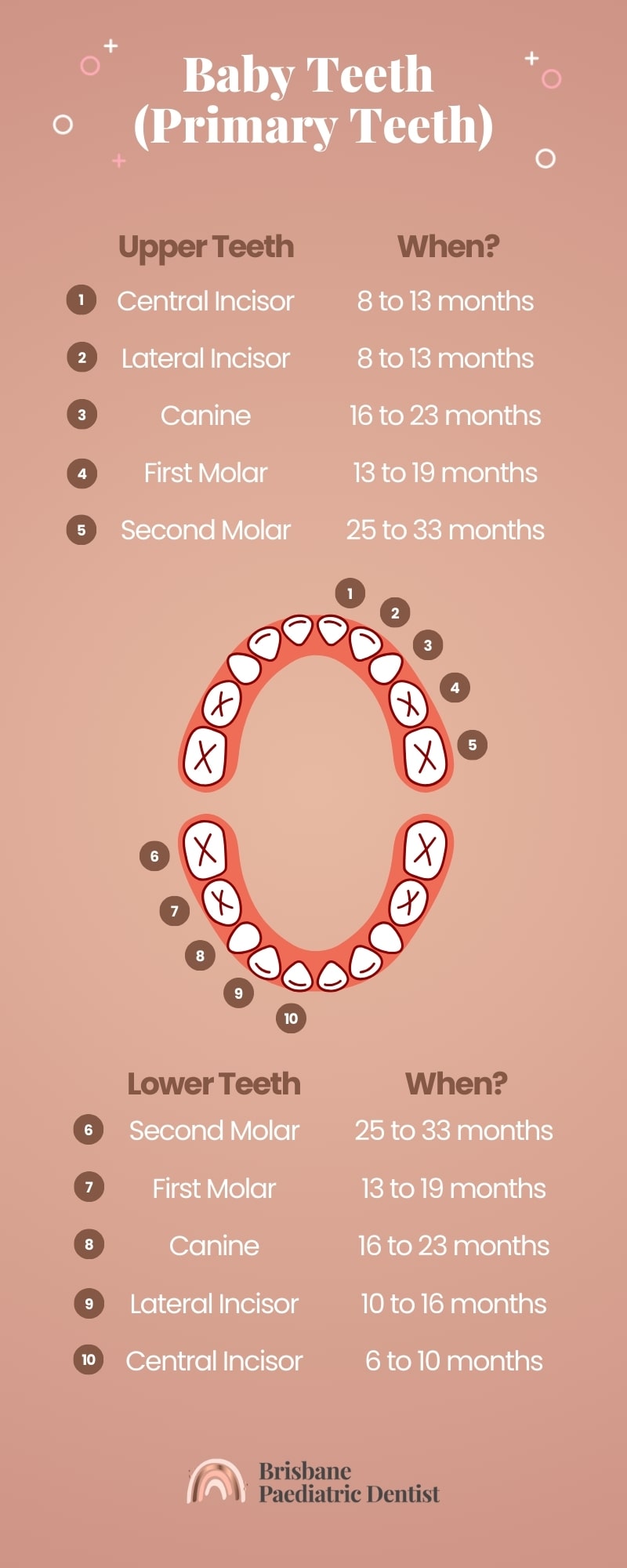 Baby Teeth (Primary)