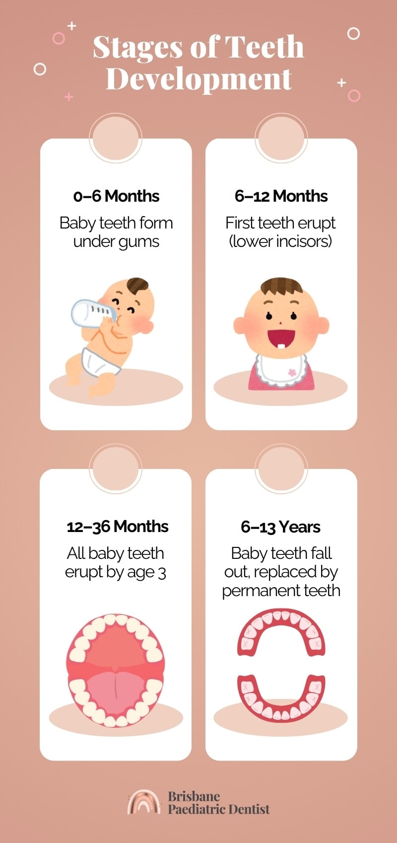 phases of teeth development