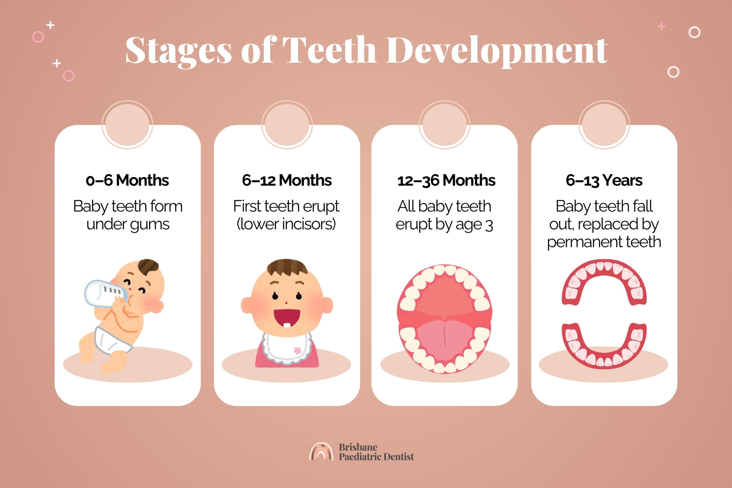 stages of teeth development